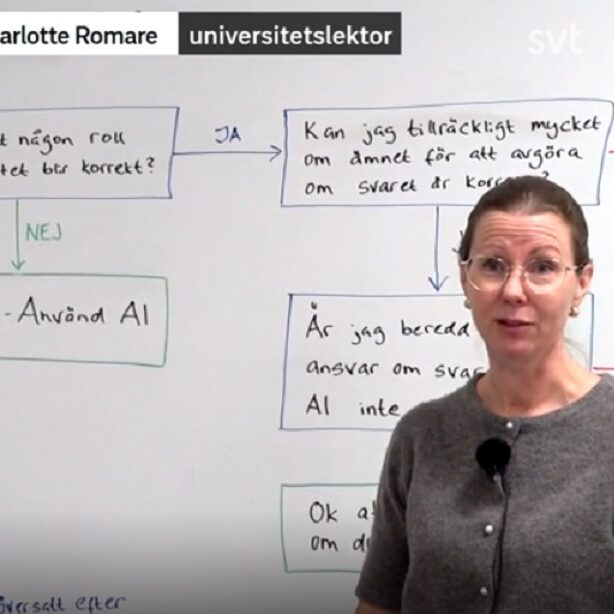 Charlotte Romare i SVT: Så lär BTH studenter att använda AI på rätt sätt